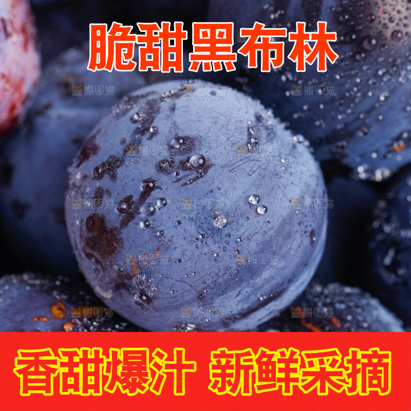 白底上的黑布林