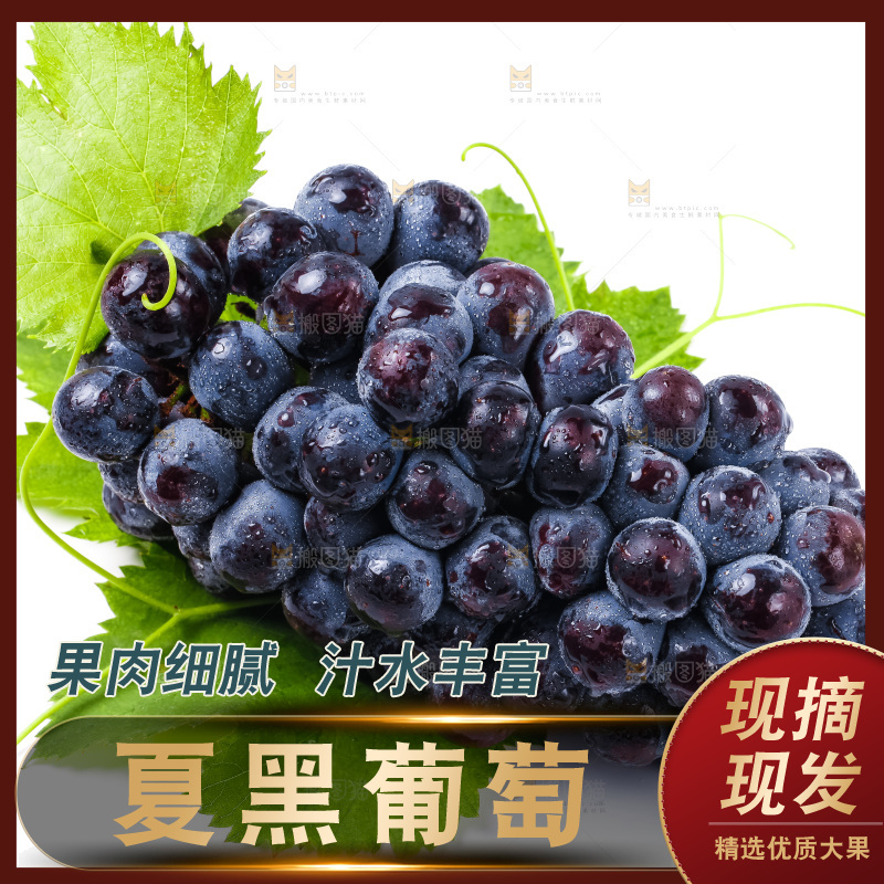 白底上的夏黑葡萄