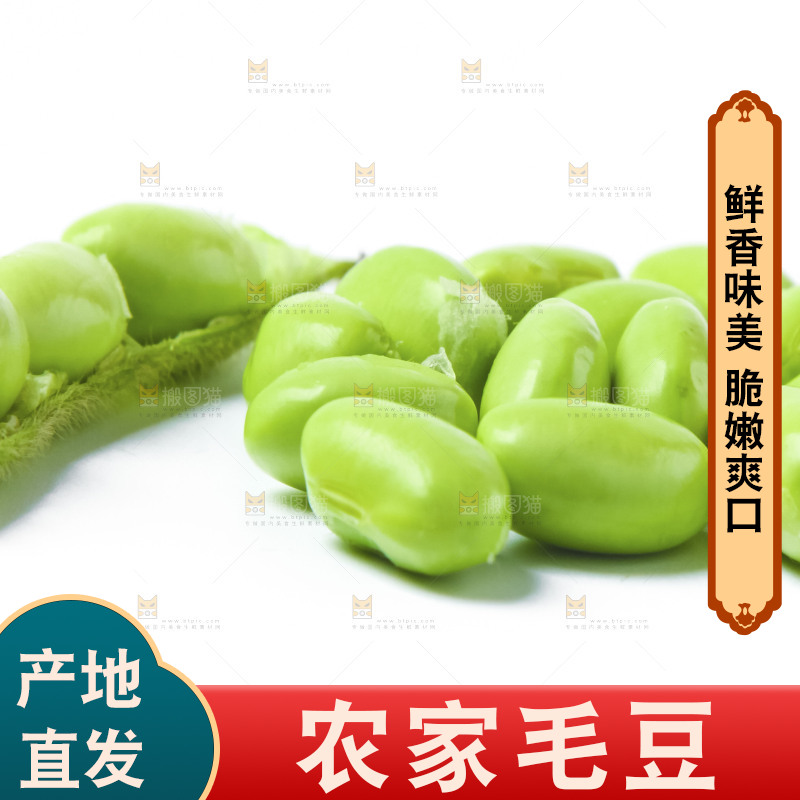 白底上的毛豆