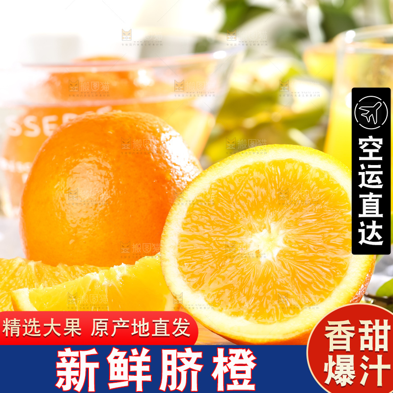 黄板子上的冰糖橙