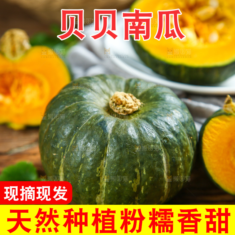 木底上的真贝贝南瓜
