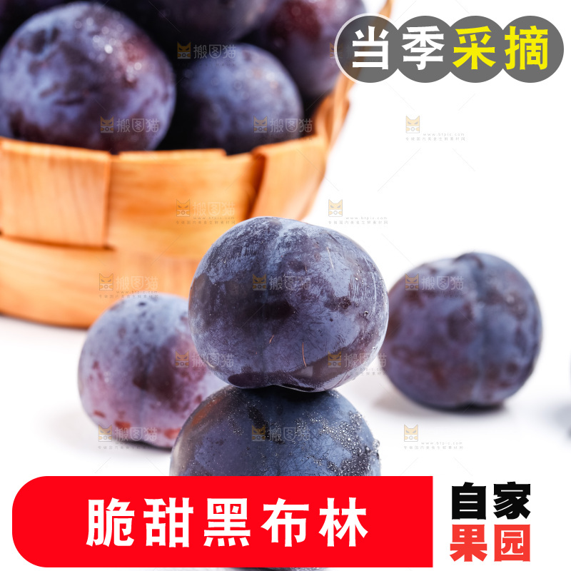 白底上的黑布林