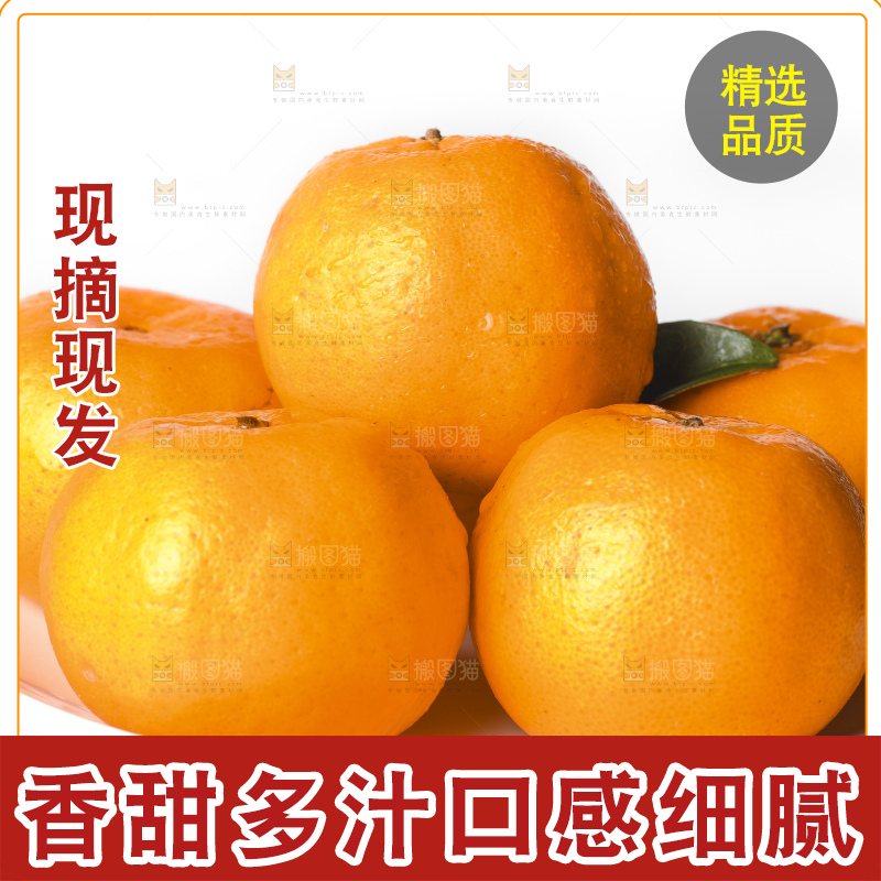 白底上的芦柑