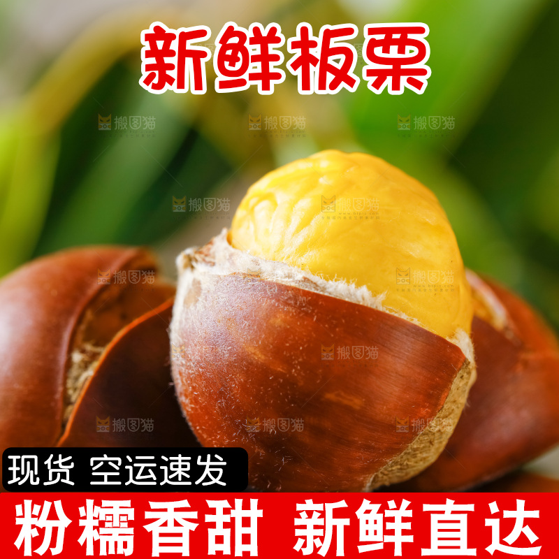 深底上的迁西板栗