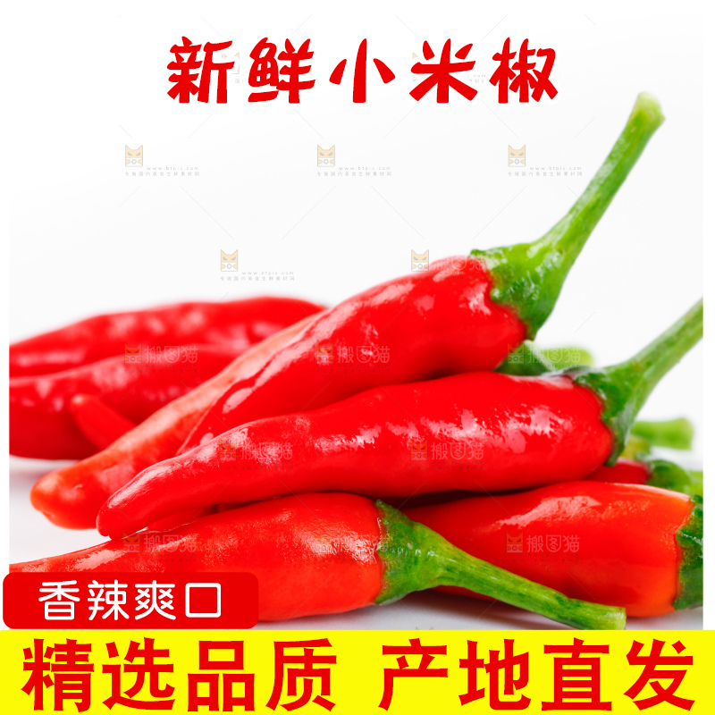 白底上的朝天椒
