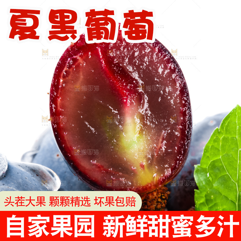 夏黑葡萄放在白底上
