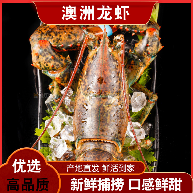 黑底上放着一盘大龙虾