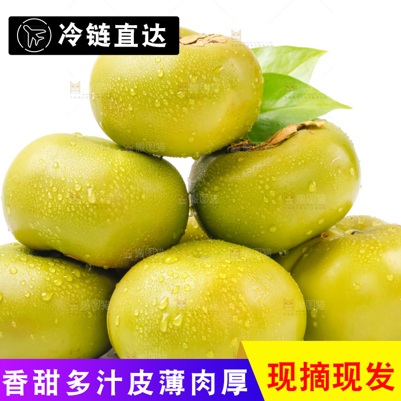 白底上放着青皮柿子