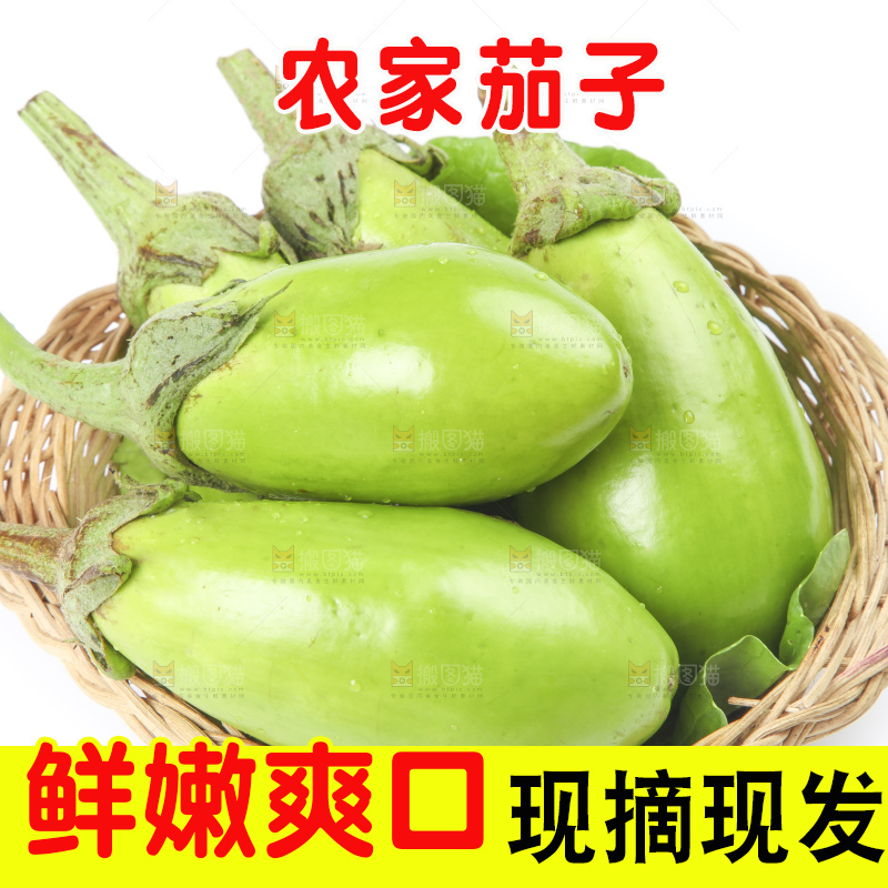 篮子里装着茄子