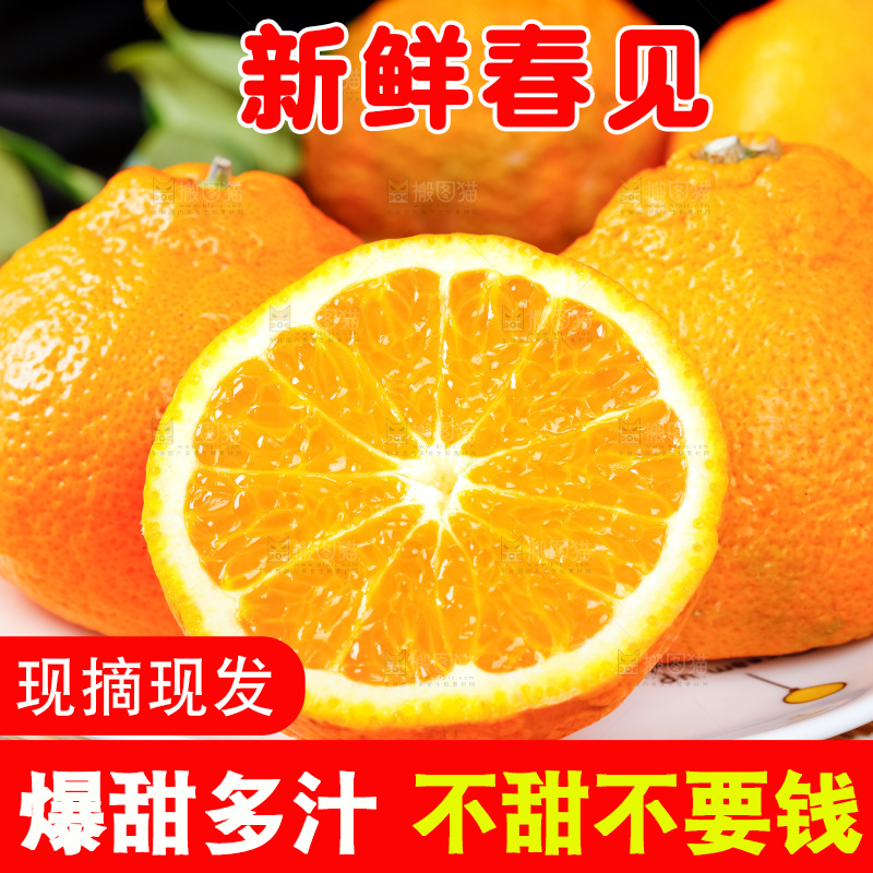 盘子里装着四川春见耙耙柑