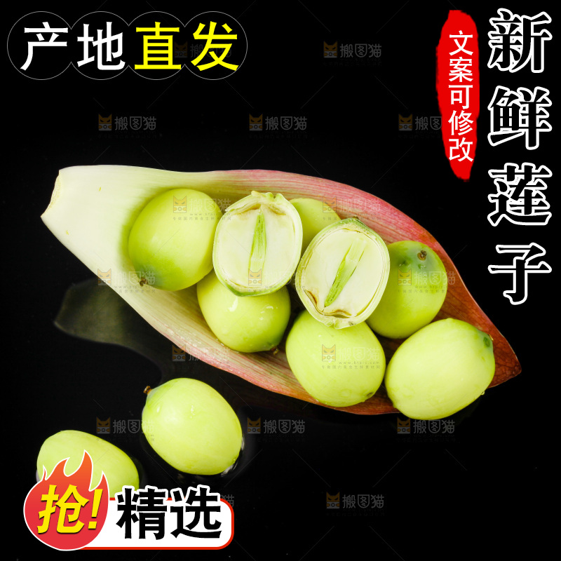 黑底上放着新鲜莲子