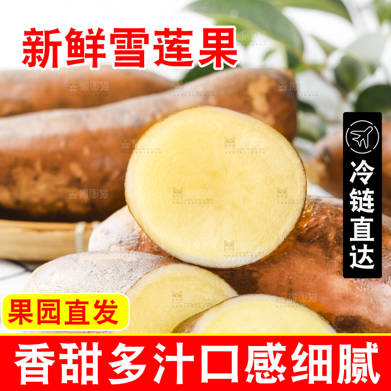 石板上放着地参果