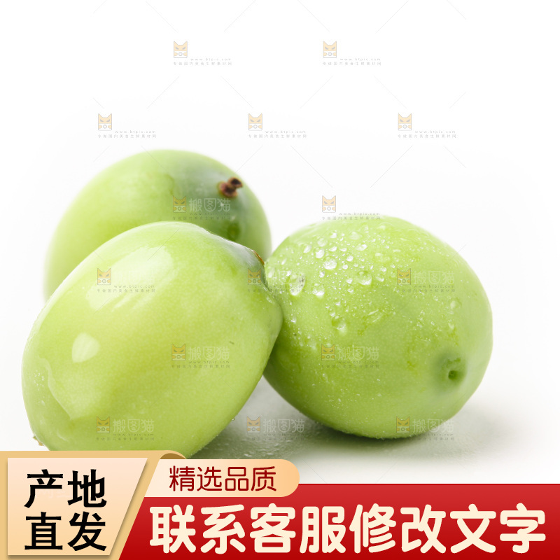 白底上的新鲜莲子