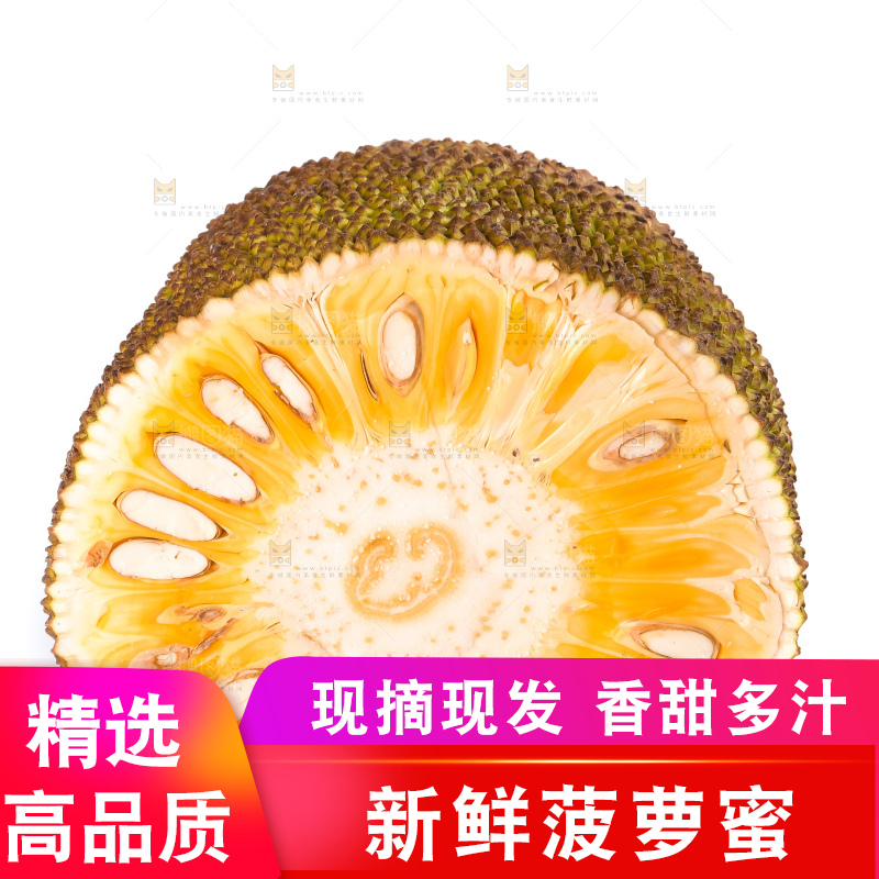 白底上的越南菠萝蜜