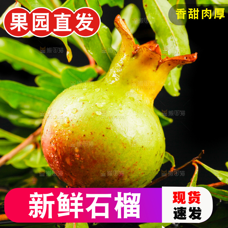 黑底上放着软籽石榴