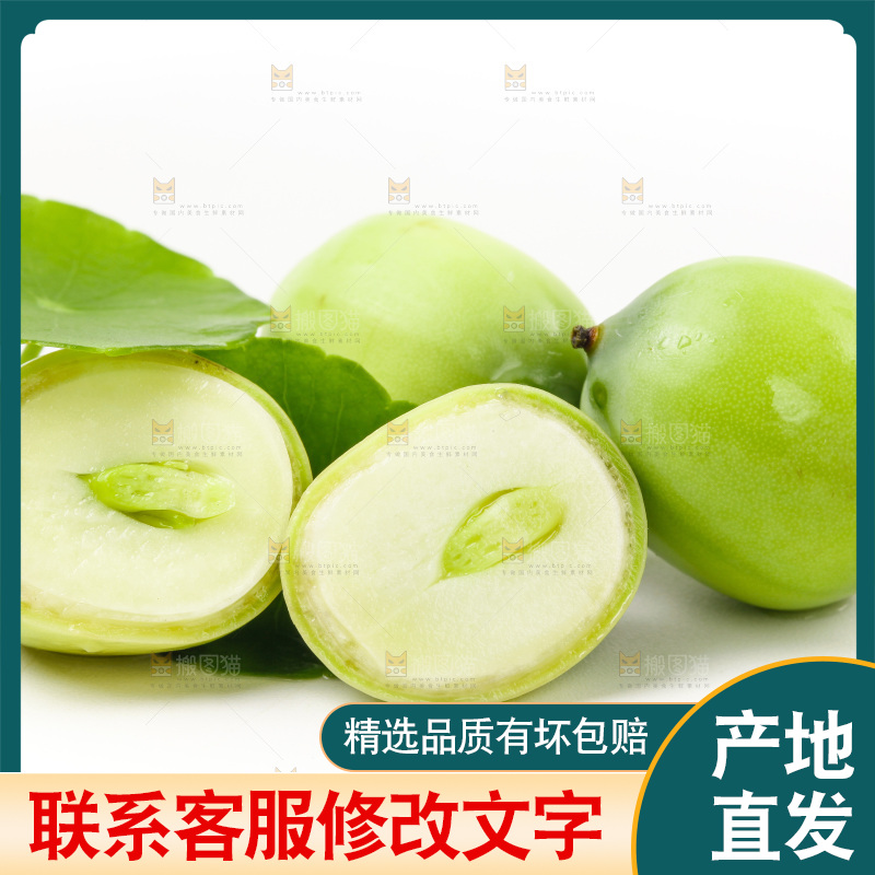 白底上放着湖北新鲜嫩莲子