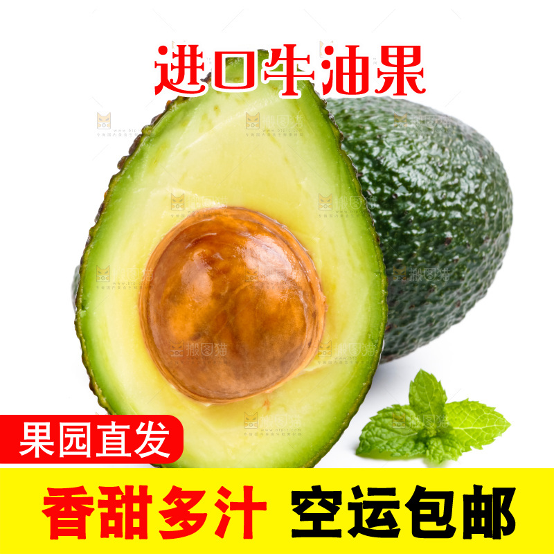 新鲜牛油果放在白底上