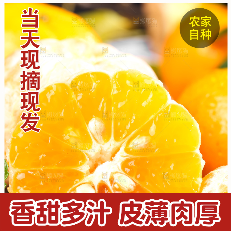 黑底上的福建芦柑