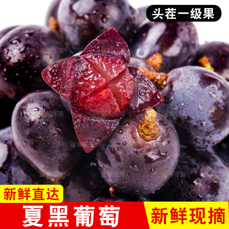 云南夏黑葡萄放在白底上