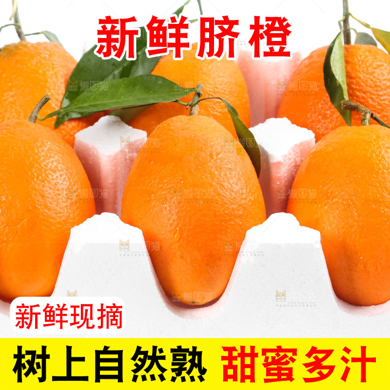 箱子里的秭归脐橙