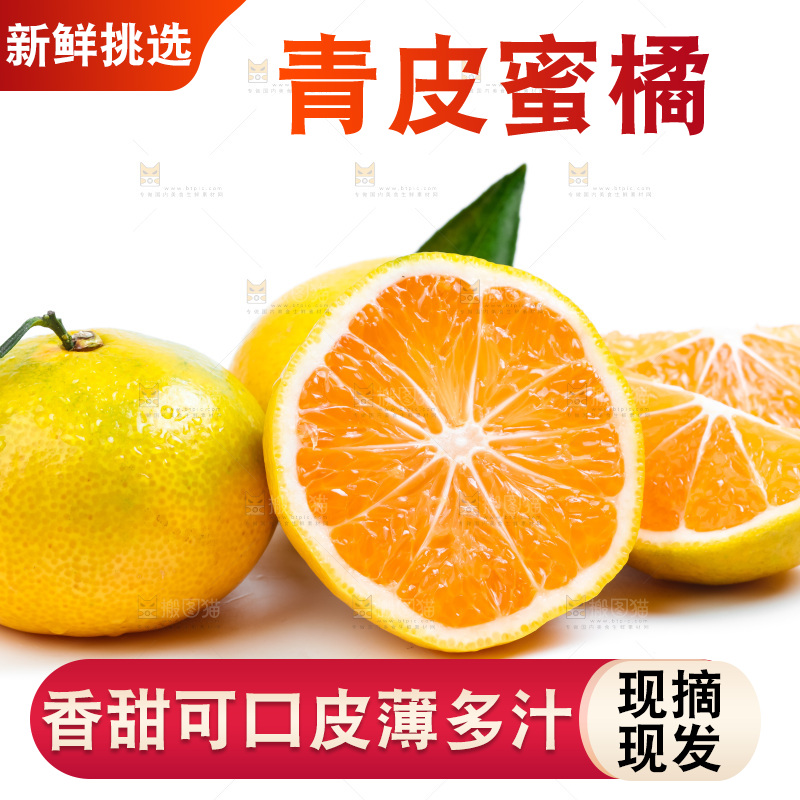 新鲜的青皮蜜橘放在白底上