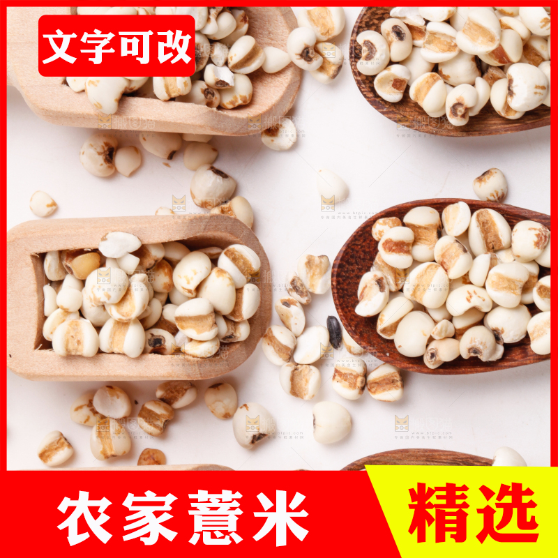 浅底上放着贵州薏米