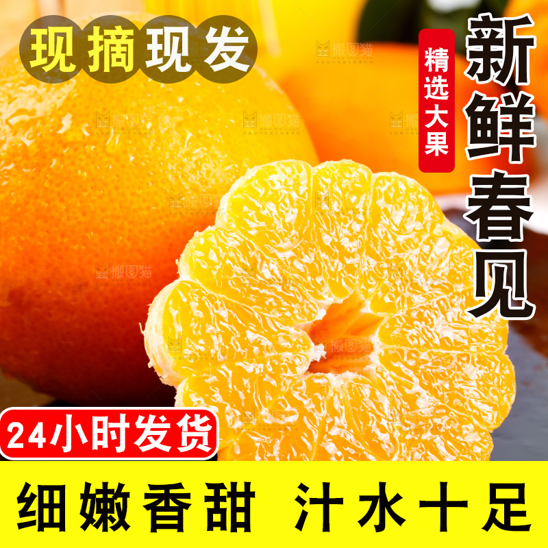 黑石板上的春见耙耙柑