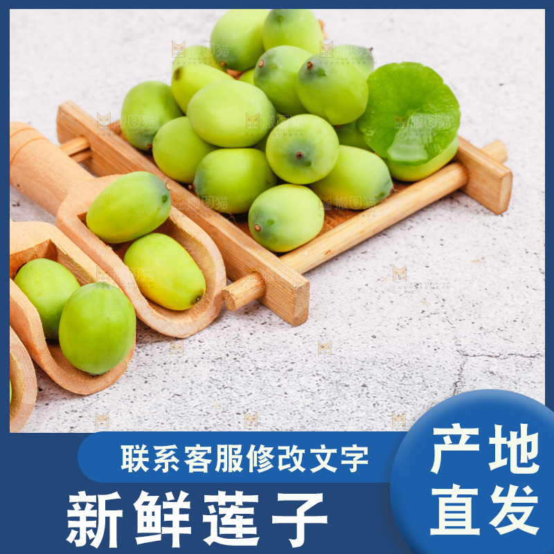 石板上的新鲜莲子