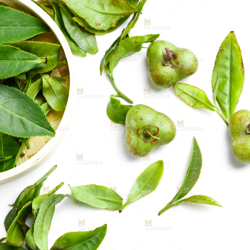 白底上放着绿茶叶