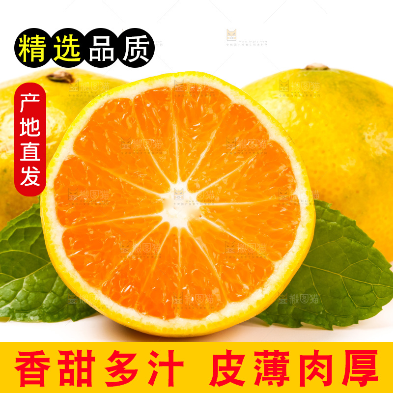 切开的云南蜜桔放在白底上