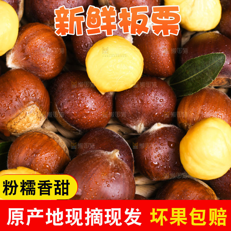 深底上放着迁西板栗