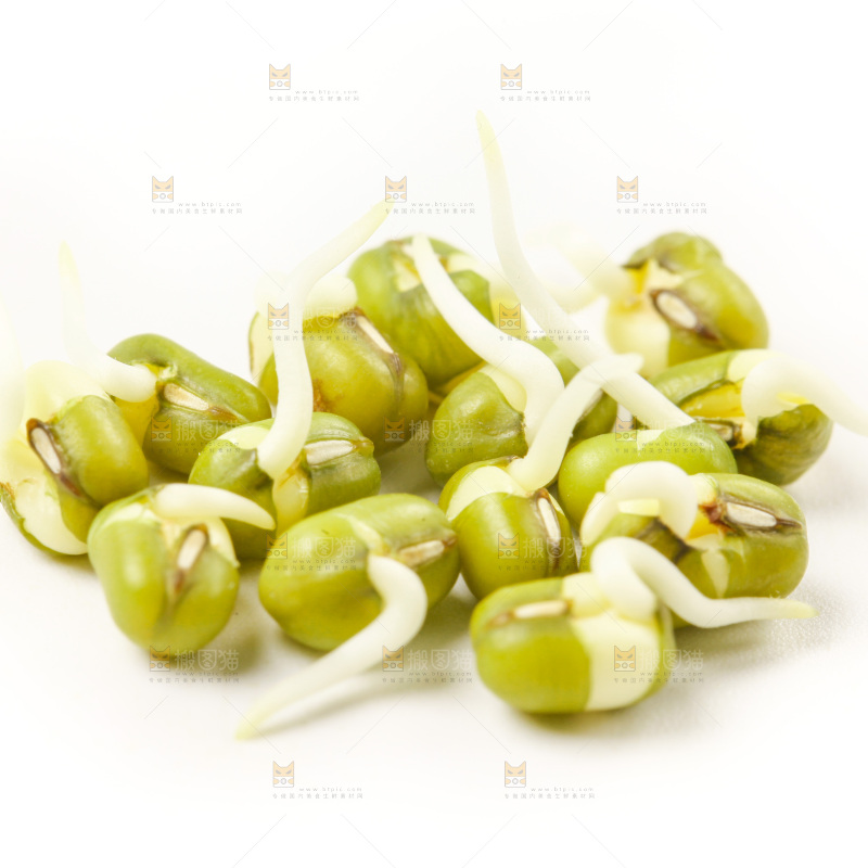 白底上的绿豆芽