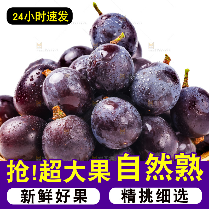 白底上放着一盘夏黑葡萄