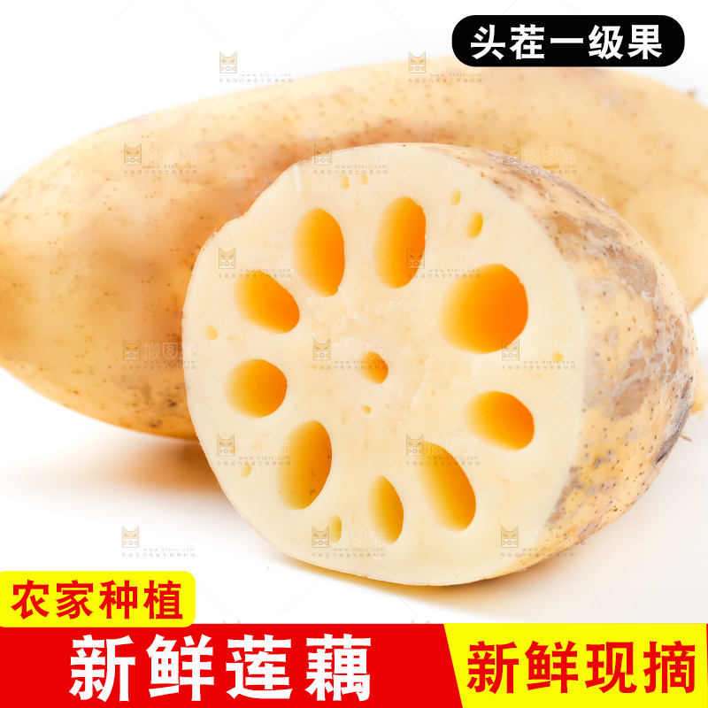 白底上的白莲藕