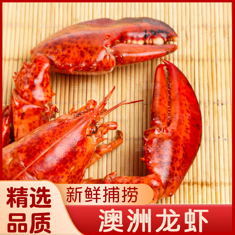 木底上放着波士顿大龙虾