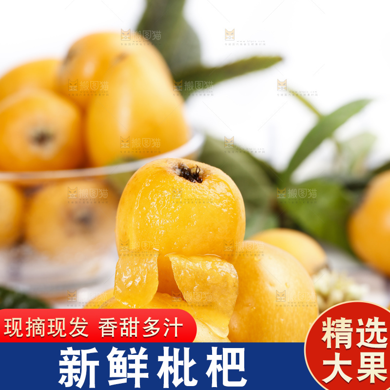 石板上的云南蒙自枇杷