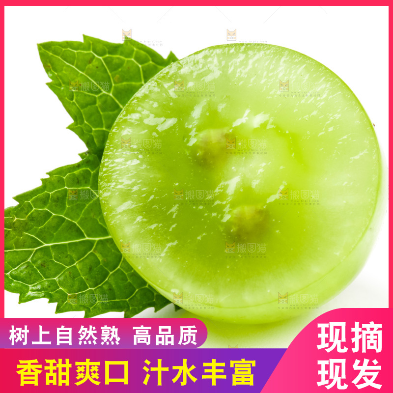 白底上放着维多利亚青提