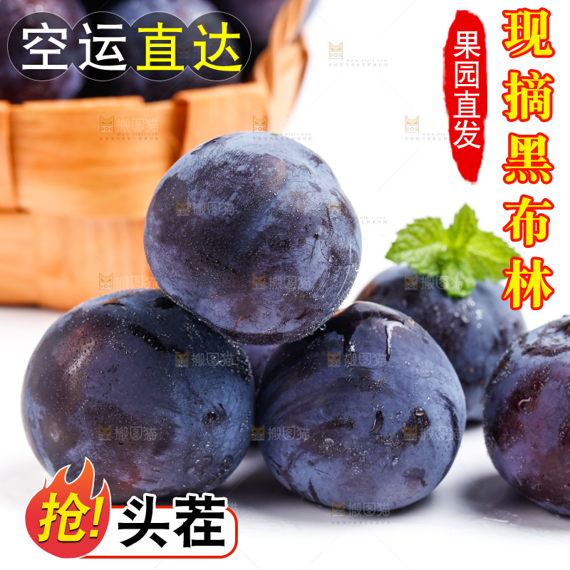 白底上的黑布林