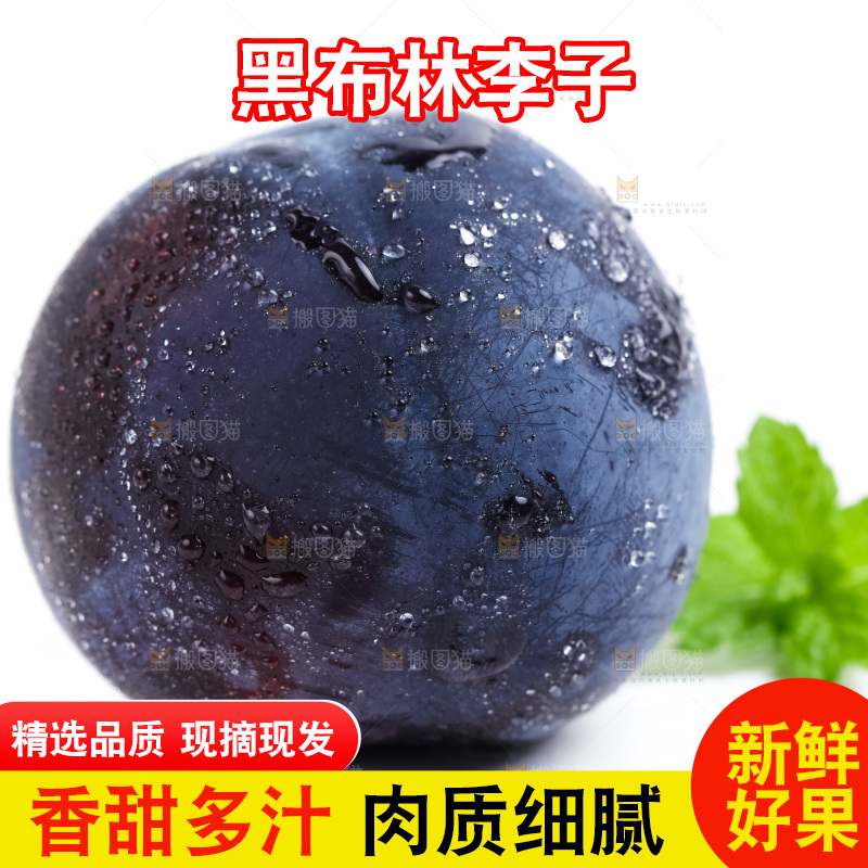 白底上的黑布林