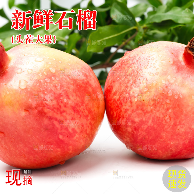 浅底上的软籽石榴