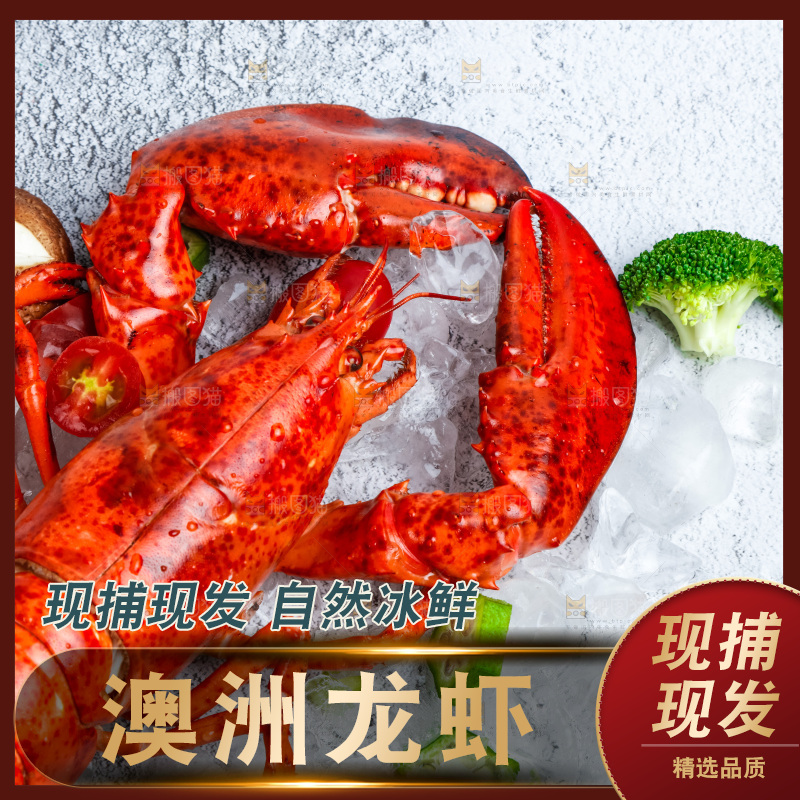 石板上的波士顿大龙虾