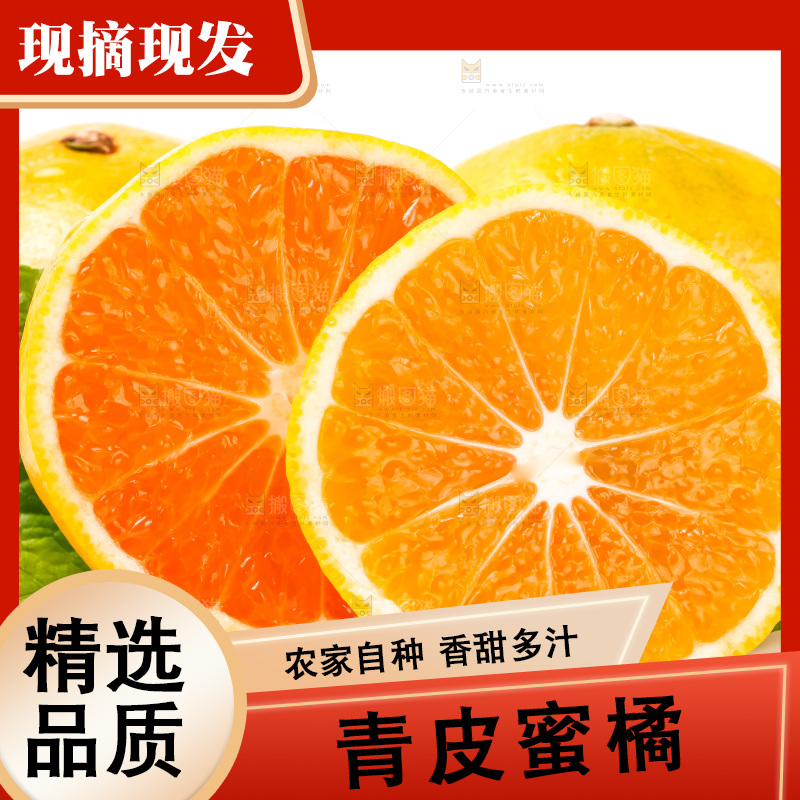 切开的云南蜜桔放在白底上