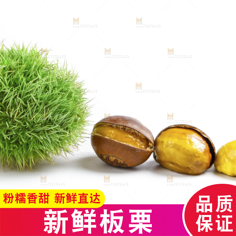 白底上摆放着迁西板栗