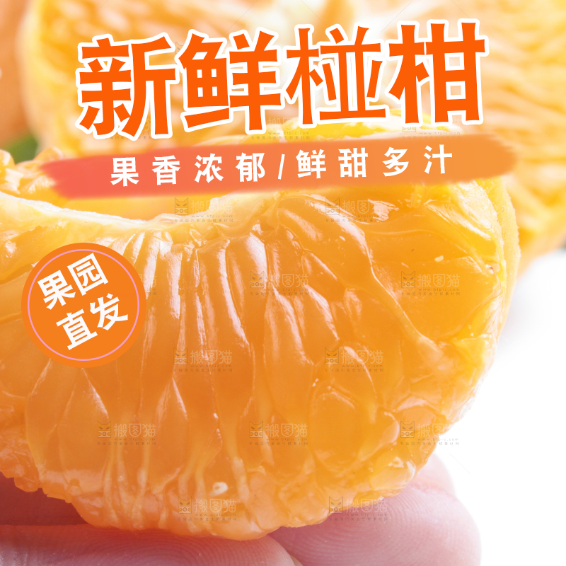 手里拿着新鲜椪柑