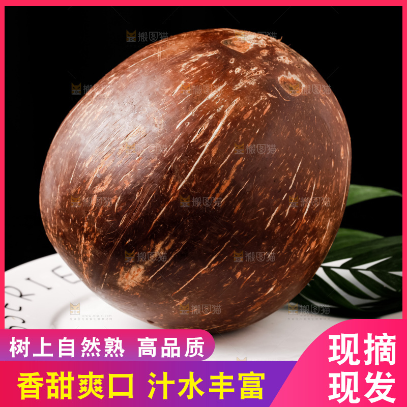 黑底上放着海南椰皇