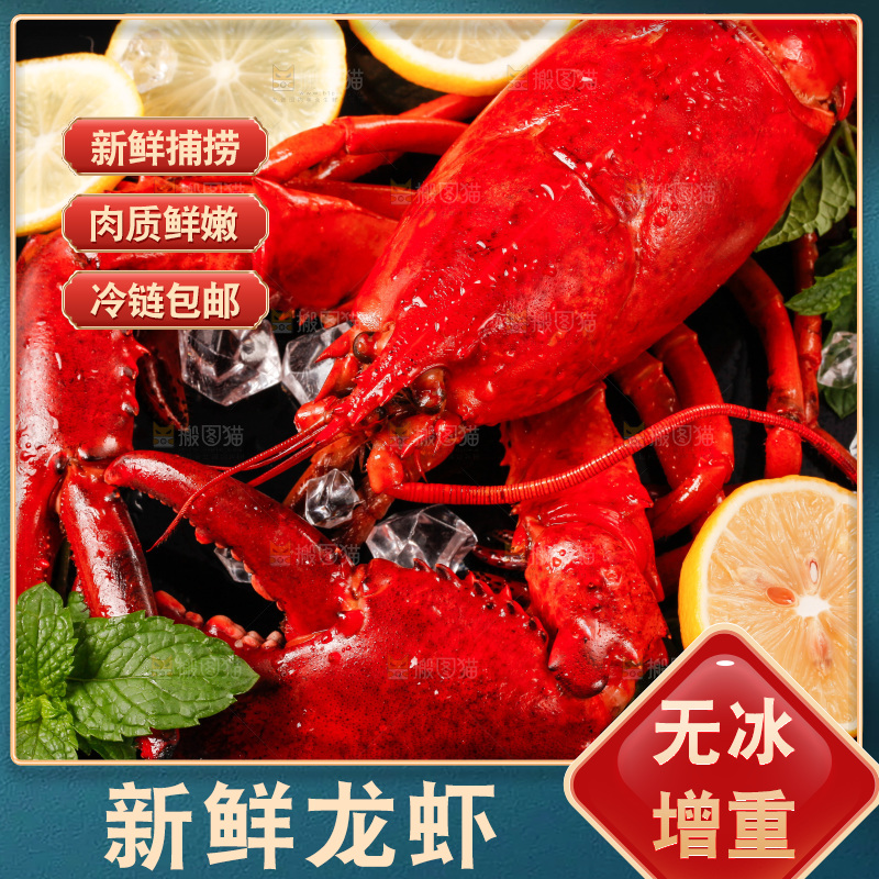 黑底上放着波士顿大龙虾