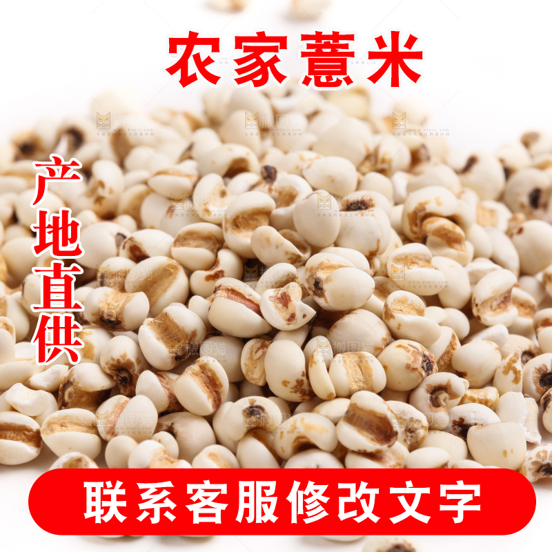 白底上的薏米