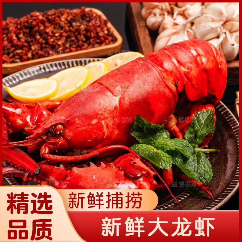 黑底上放着波士顿大龙虾
