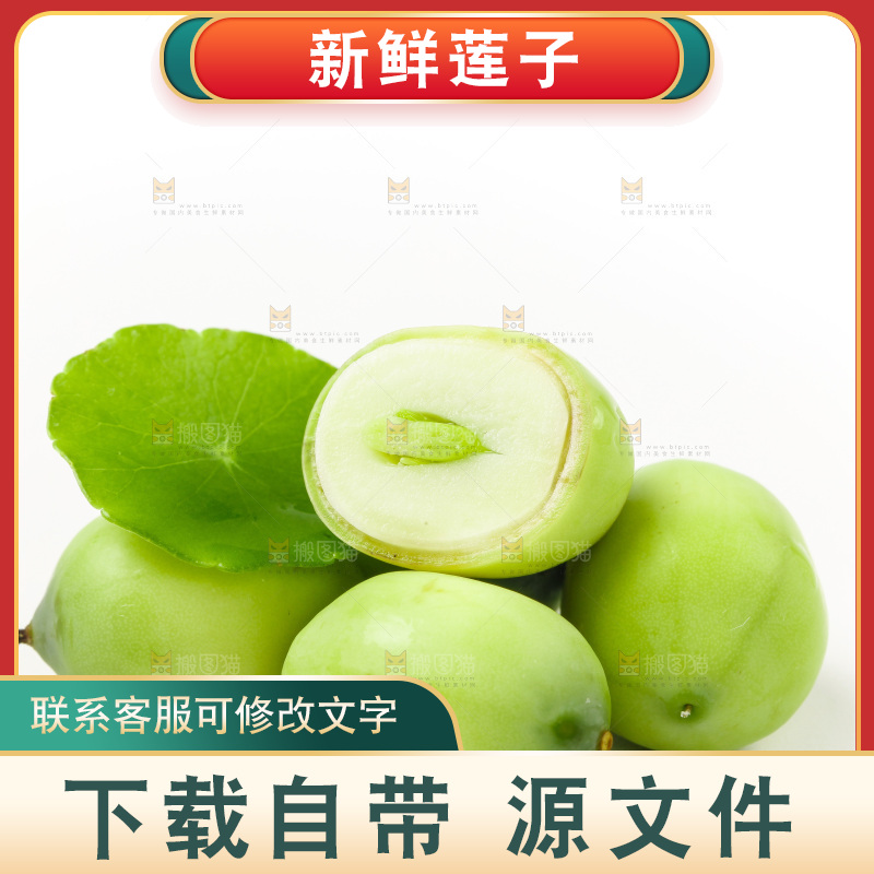 白底上放着湖北新鲜嫩莲子