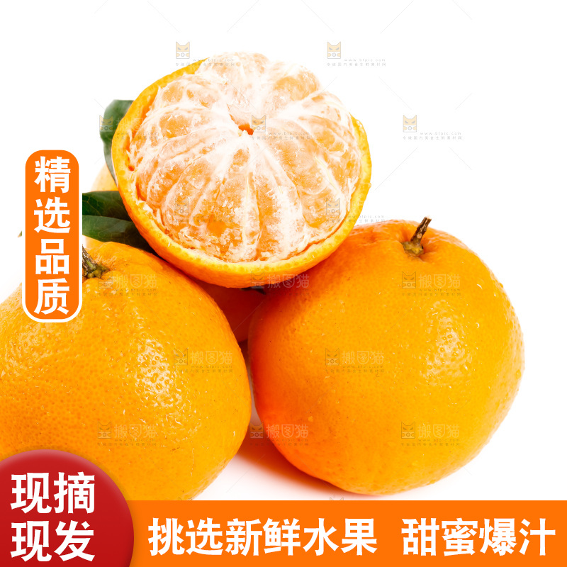 白底上的春见耙耙柑